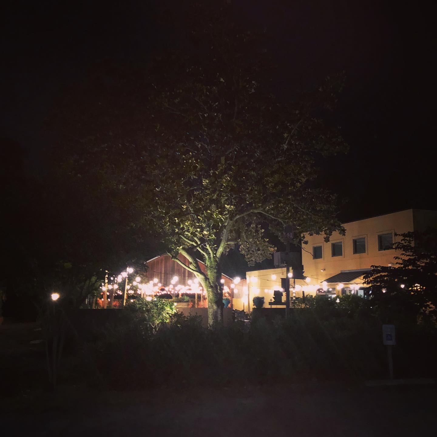 73A5A5FA-90BC-4842-8411-5D4A342E483A